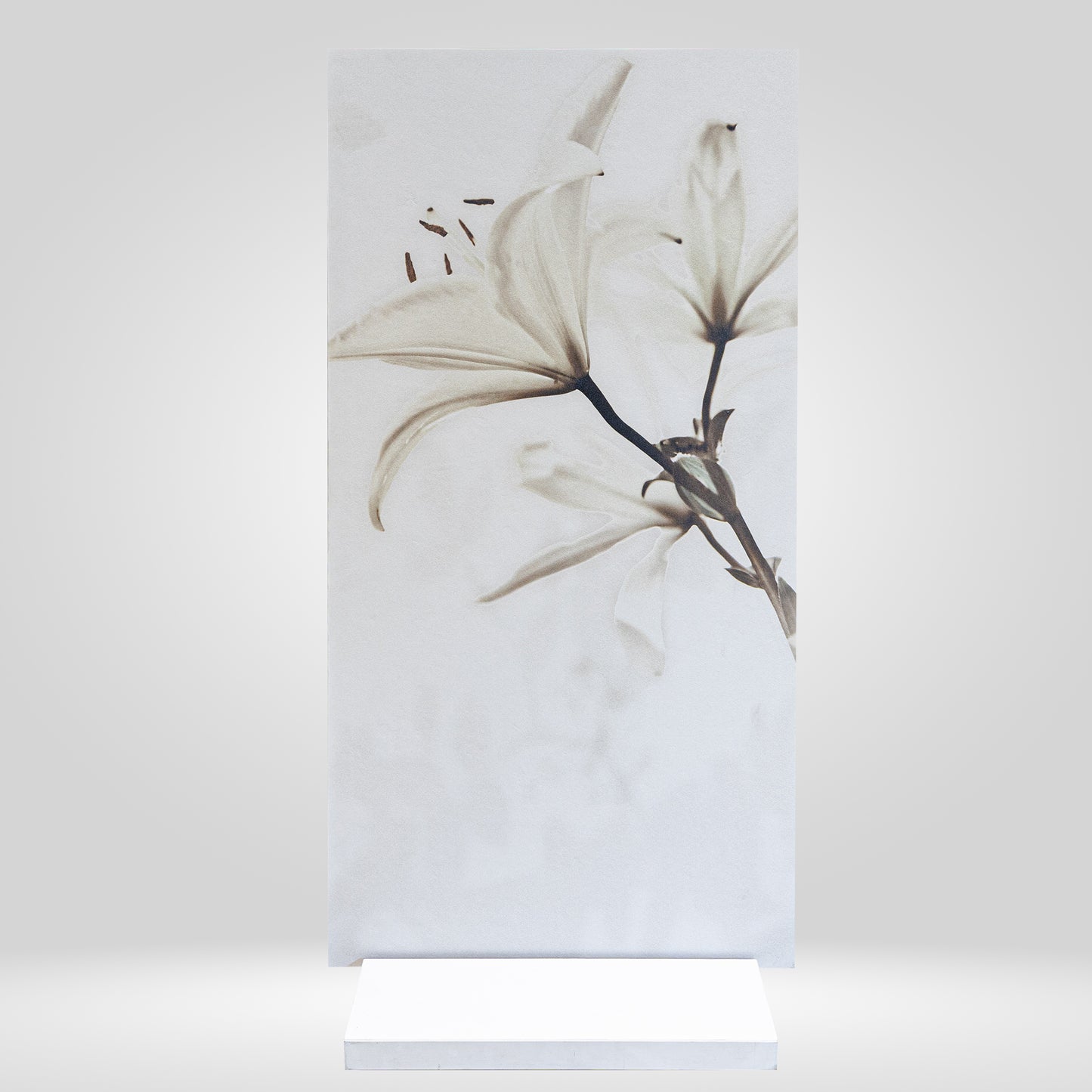 Fiore Singolo Beige - 60x120 - Gres Porcellanato da Interno